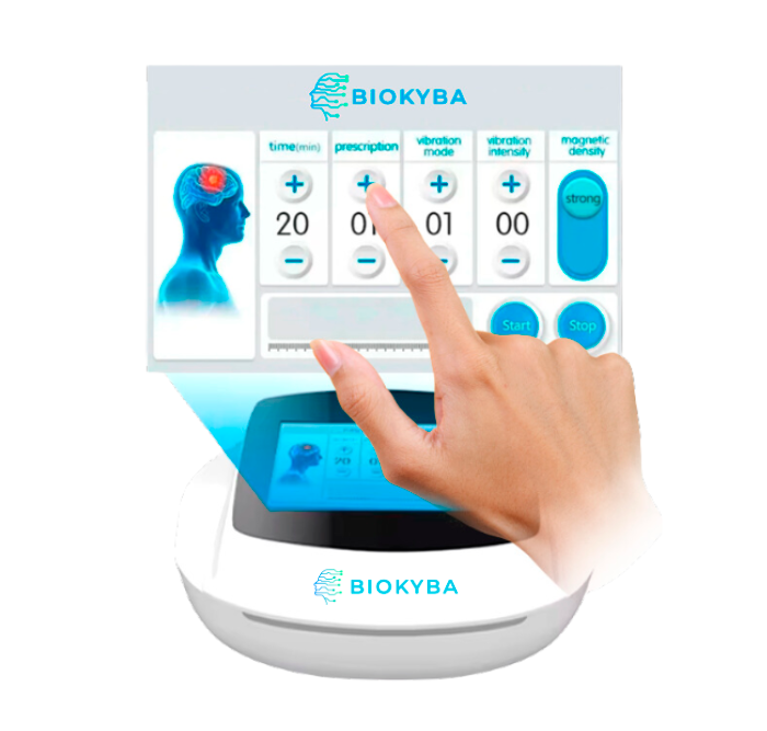 Interfaz BIOKYBA BRAIN